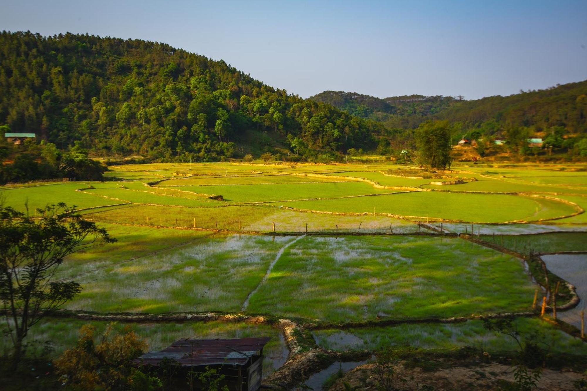 Nha Trong Ban - Homestay Mang Den Kon Von Kla Exterior foto